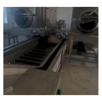 定做氣泡清洗機 不銹鋼氣泡蔬菜清洗機 多功能果蔬清洗機