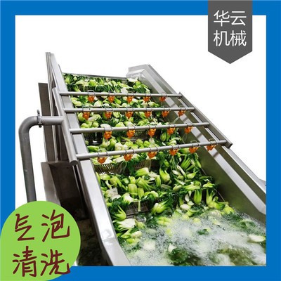全自動氣泡式果蔬清洗機(jī) 高壓噴淋清洗機(jī)定制 清洗干凈 效率高