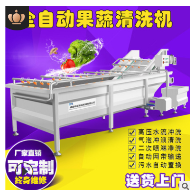 現貨果蔬氣泡清洗機 全自動凈菜設備蔬菜清洗機 學校食堂洗菜機