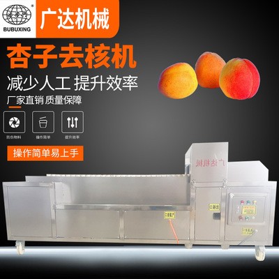 廠家供應(yīng) 杏子去核機 全自動新型去核機 去核機