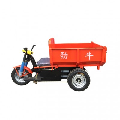 佛山三輪車廠家直銷電動(dòng)三輪車 可定做直板三輪型 可樓頂運(yùn)輸使用