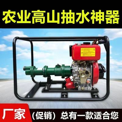 高揚程水泵200米300米高壓抽水機農(nóng)用高山水泵2寸螺桿泵 汽油柴油
