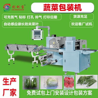 蔬菜包裝機(jī)往復(fù)式枕式全自動(dòng)真空包裝機(jī)肉類果蔬食品包裝機(jī)械設(shè)備