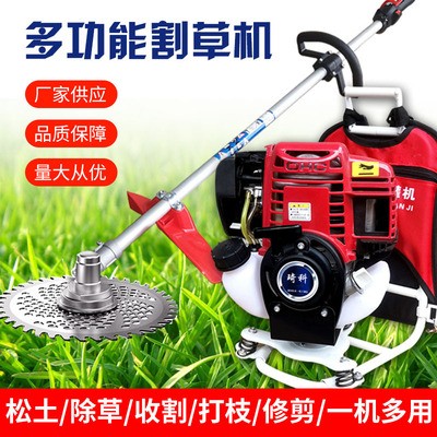 背負(fù)式割草機(jī)草坪剪草二沖四沖小型農(nóng)用除草機(jī)大功率草坪機(jī)