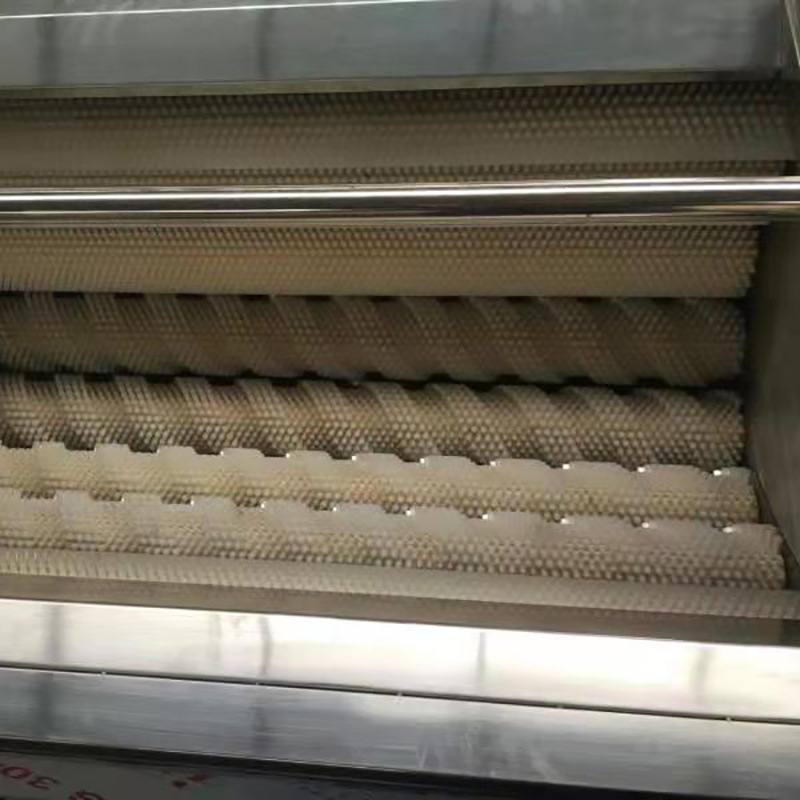 毛輥清洗去皮機