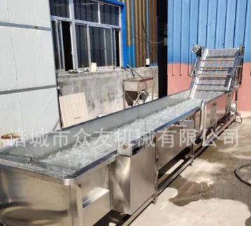 壽光全自動蔬菜清洗機(jī) 氣泡沖浪洗菜機(jī) 果蔬沖洗線 新鮮果蔬