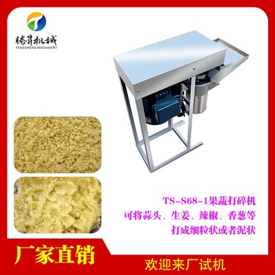 廚房設(shè)備 小型立式蒜蓉打泥機 電動馬蹄攪碎機 玉米打漿機 不銹鋼