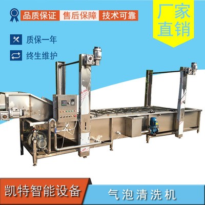 大蒜去泥清洗機酸白菜清洗去鹽機果蔬清洗機支持定制