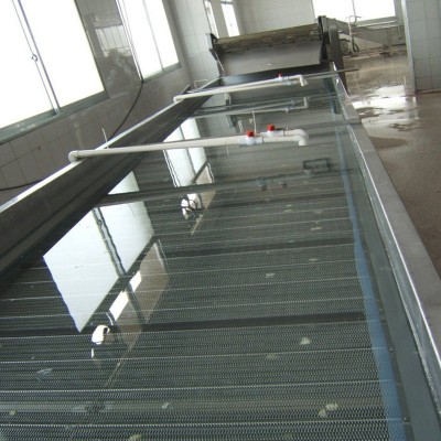 定制洗菜機氣泡清洗機 噴淋式紅薯土豆果蔬清洗機 全自動清洗設備