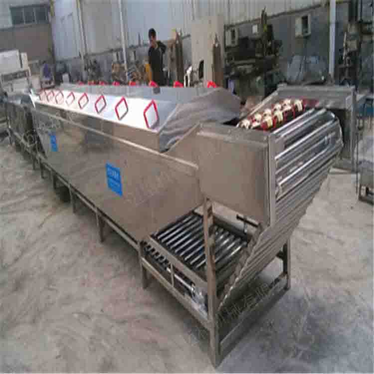 巴士殺菌線照片 (45)