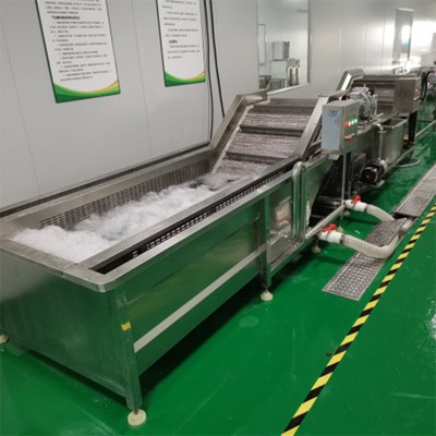 中央廚房清洗線 全自動(dòng)果蔬清洗機(jī) 氣泡清洗機(jī) 果蔬清洗一體機(jī)