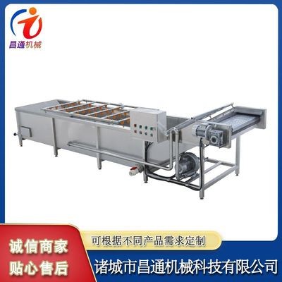 山竹氣泡果蔬清洗機 多功能蔬菜氣泡清洗機 全自動高壓噴淋洗菜機