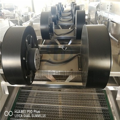 瓜果蔬菜清洗風干設備 果汁飲料清洗風干流水線 果蔬氣泡清洗機