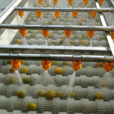 全自動柑桔清洗機 優質不銹鋼制作氣泡清洗機 水果加工清洗設備