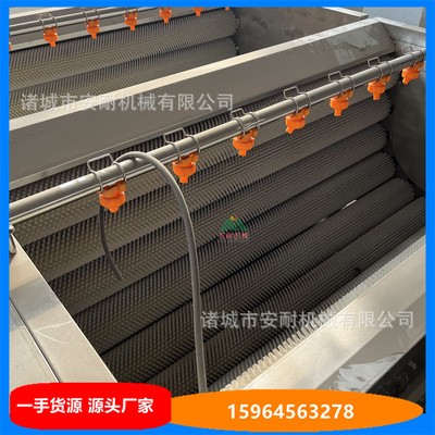 火燒豬頭毛刷清洗機 自動出料毛輥清洗設備 洗豬耳朵機器 安耐