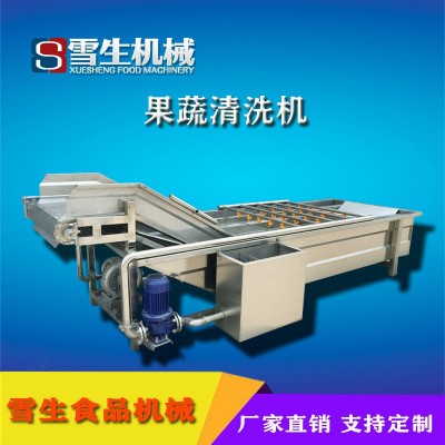 全自動連續(xù)式氣泡清洗機(jī) 定制果蔬氣泡清洗機(jī) 長期供應(yīng)氣泡清洗機(jī)