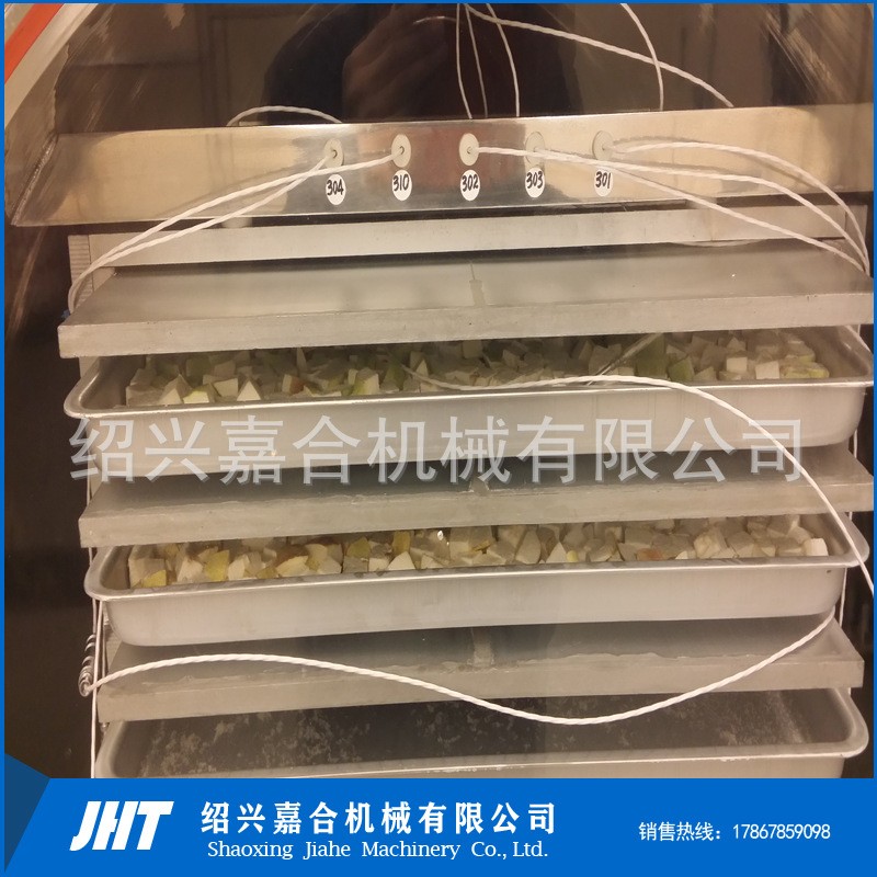 全自動真空凍干機器 方便面蔬菜包冷凍干燥設(shè)備 蟲草參片凍干機