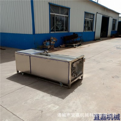 不銹鋼毛棍刷清洗機(jī)土豆紅薯蓮藕胡蘿卜薺菜脫皮去皮清洗泥沙設(shè)備