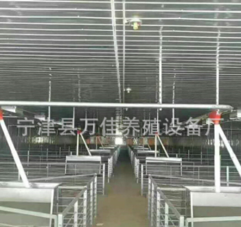 養(yǎng)豬自動(dòng)喂料機(jī)械 豬舍不繡鋼食槽型號(hào)訂做