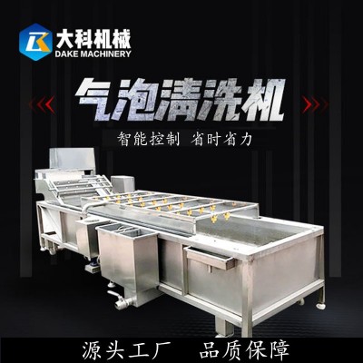 果蔬氣泡清洗機全自動蔬菜高壓噴淋清洗設(shè)備不銹鋼水果藥材清洗機