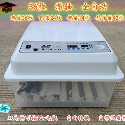 孵化機(jī)家用 滾軸雞鴨鵝卵蛋36枚孵蛋小型迷你孵化箱全自動 孵蛋器