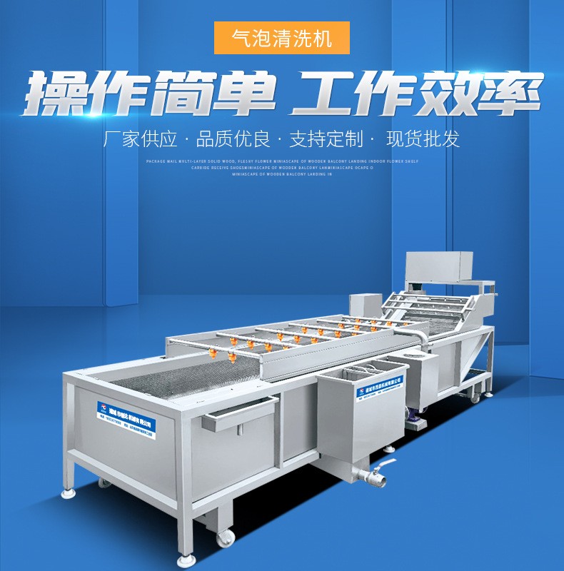 大型蔬菜清洗機 多功能全自動氣泡清洗機 噴淋式果蔬加 工設備