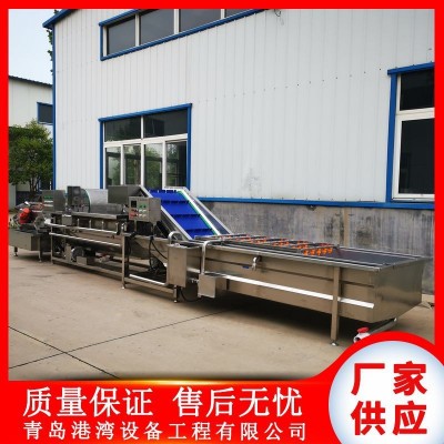 預制菜清洗機 蔬菜水果中央廚房預制菜設備 預制菜流水線