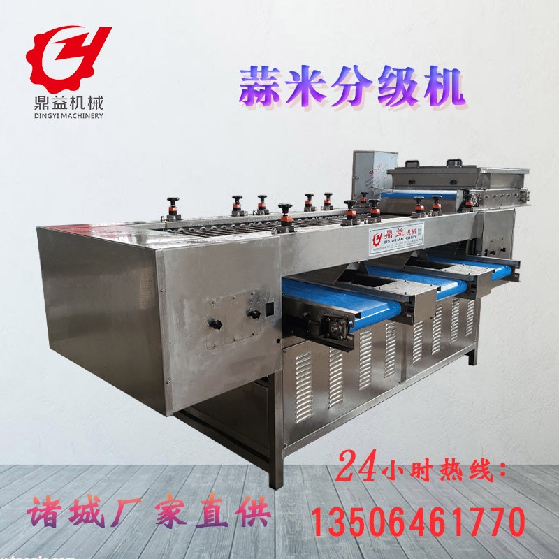 蒜米分揀分選機設備 大型蒜瓣分選機 篩選設備廠家直供