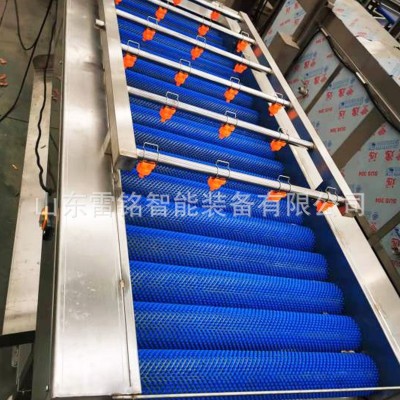 全自動紅薯清洗機(jī) 氣泡沖浪噴淋洗菜機(jī) 根莖類蔬菜清洗風(fēng)干線