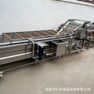 氣泡清洗機 不銹鋼高壓噴淋果蔬清洗機 商用玉米海參氣泡清洗機