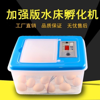 伊科貝特水床孵化機升級版 32枚PP料家用小型孵化器雞鴨鵝孵化箱