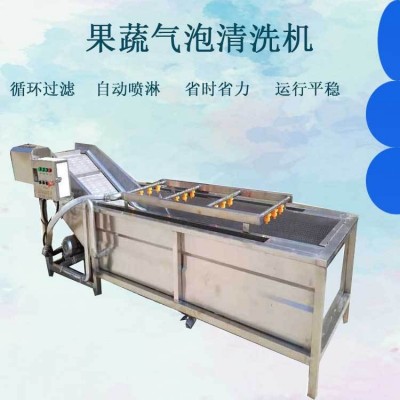 全自動(dòng)果蔬清洗機(jī) 噴淋式蘋(píng)果氣泡清洗流水線(xiàn) 白菜西紅柿清洗機(jī)設(shè)