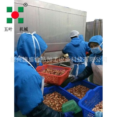 定制優質小龍蝦加工設備 潛江龍蝦清洗機 速凍蝦尾生產流水線wp