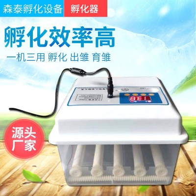 批發(fā)孵化機(jī) 小型全自動智能家用迷你孵蛋器雞鴨鵝鴿子incubator