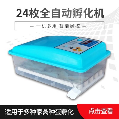 廠家代發(fā)24枚自動迷你孵化機(jī)智能家用小型孵化設(shè)備egg incubator