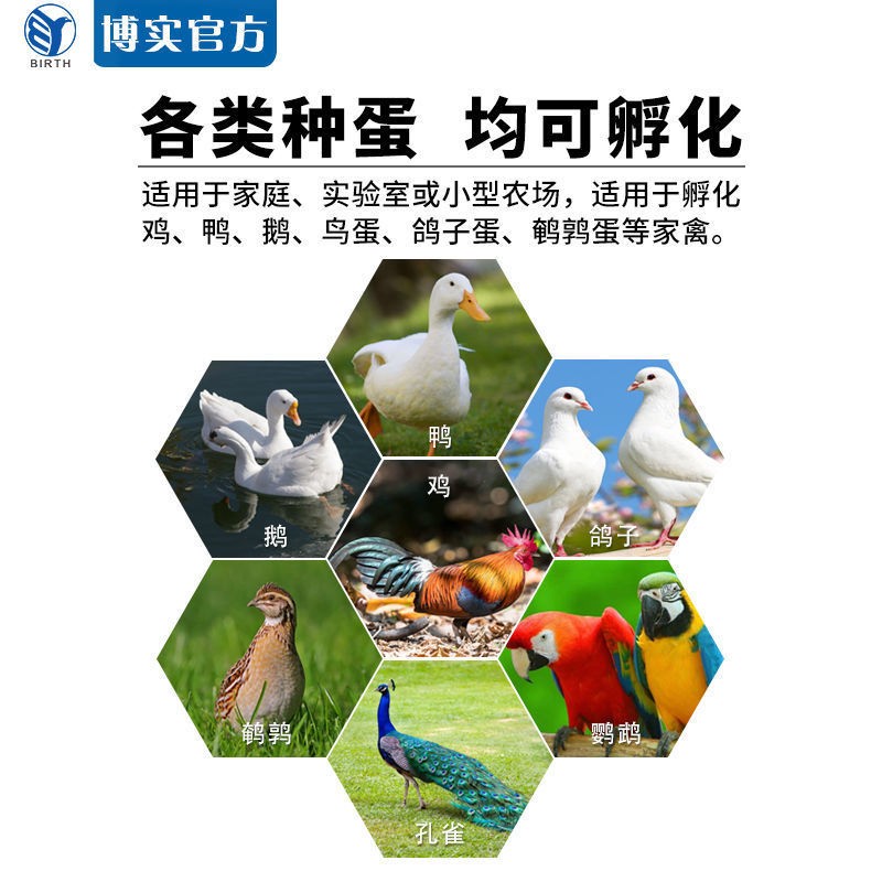 定制智能家用型自動(dòng)孵蛋器 雞蛋孵化器 鴨 鵝 鴿 鵪鶉 山雞孵卵器