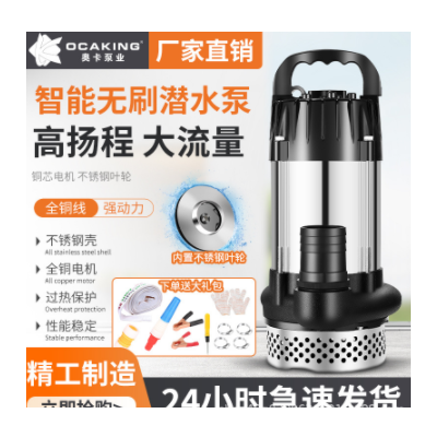 無(wú)刷直流潛水泵高揚(yáng)程48V60V72V伏通用電動(dòng)車(chē)電瓶車(chē)抽水泵抽水機(jī)