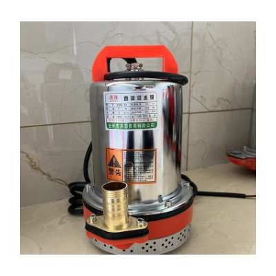 浩沺廠家直銷直流潛水泵12V伏電瓶車水泵電動車抽水泵農用抽水機