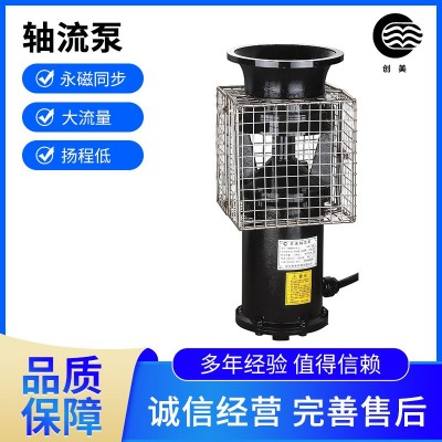 現(xiàn)貨銷(xiāo)售抗洪排澇軸流泵循環(huán)泵移動(dòng)抽水排污便攜式防汛泵防汛水泵