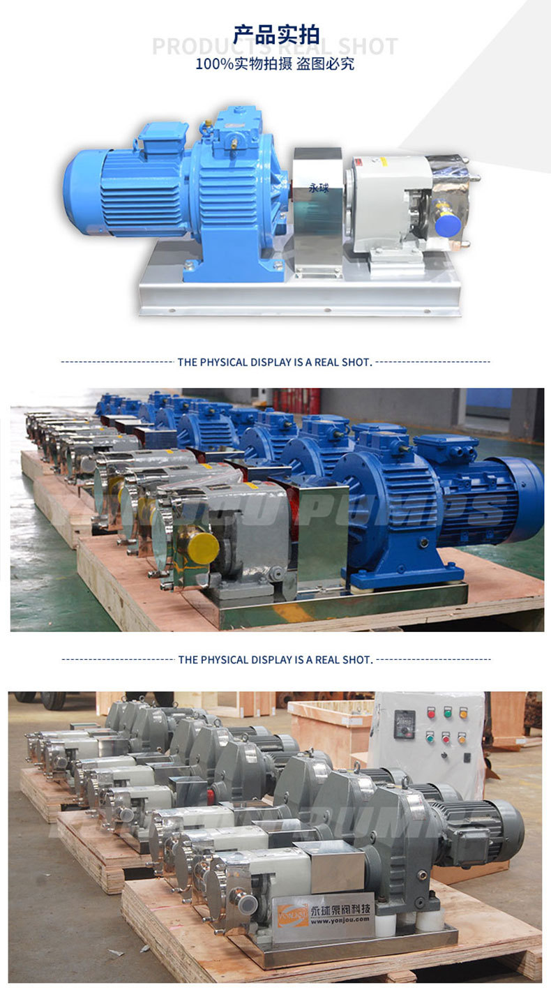 LQ3A轉子泵-實物拍攝