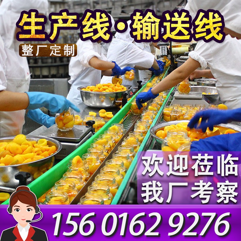 柔性鏈板輸送機(jī)丹東水果罐頭生產(chǎn)線傳送帶設(shè)備爆款黃桃分揀輸送線