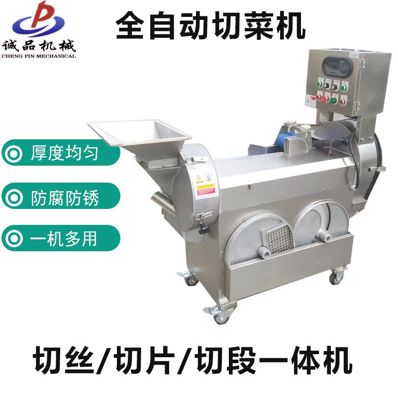 全自動(dòng) 雙頭果蔬切菜機(jī) 商用土豆切絲機(jī) 球根莖葉菜類蔬菜切片機(jī)