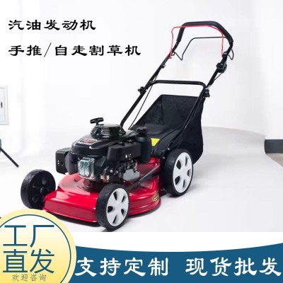廠家直供自走手推割草機 汽油四沖程雜草修剪機 家用汽油草坪機