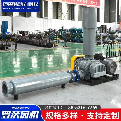 WHSR羅茨風(fēng)機(jī) 廠家供應(yīng)大流量高效魚塘增氧用污水曝氣羅茨風(fēng)機(jī)