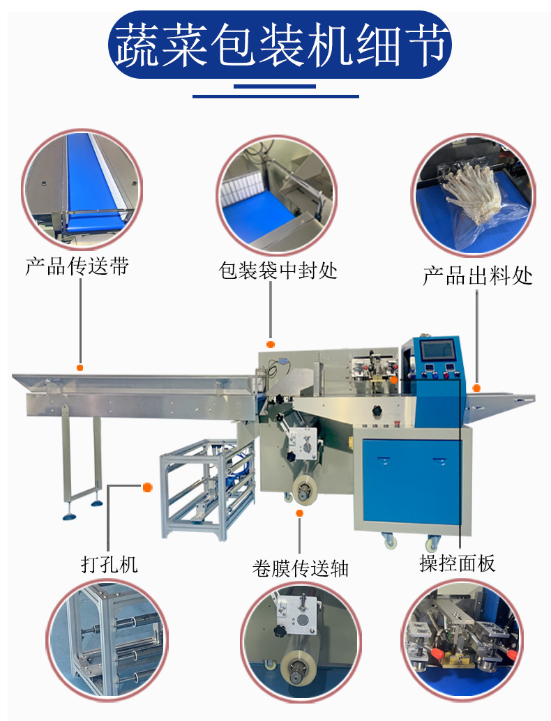蔬菜包裝機(jī)細(xì)節(jié)圖