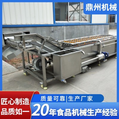 全自動凈菜加工成套設(shè)備 果蔬氣泡清洗機 瓜果西紅柿去泥清洗機