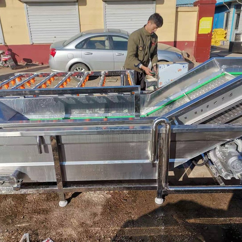 果蔬清洗機高壓水果蔬菜清洗機 冬棗辣椒高壓氣泡清洗機 洗菜機