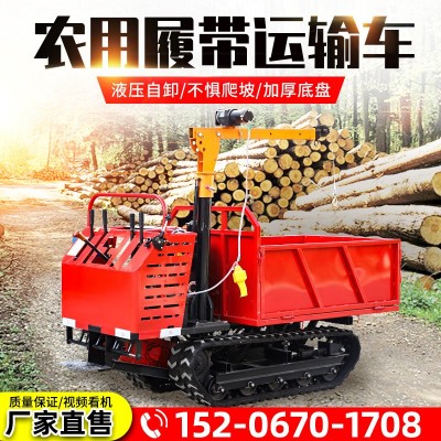 3噸履帶運(yùn)輸車山地爬山虎農(nóng)用自卸車小型爬坡王全地形履帶運(yùn)輸車