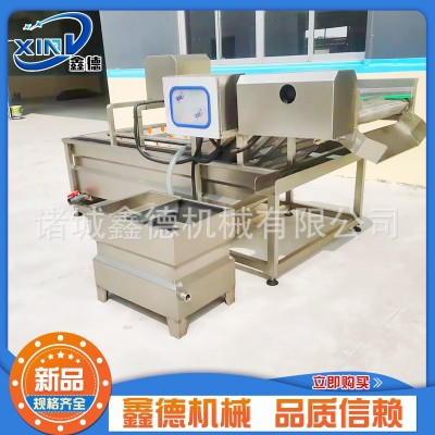 商用不銹鋼葉菜類清洗機 萵苣清洗設(shè)備 全自動果蔬氣泡清洗機