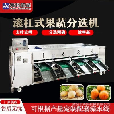 水果選果機(jī)分選機(jī)沃柑圣女果番茄土豆檸檬篩選機(jī)獼猴桃果蔬分級機(jī)